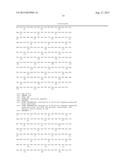 HIGH AFFINITY ANTI-PROSTATE STEM CELL ANTIGEN (PSCA) ANTIBODIES FOR CANCER     TARGETING AND DETECTION diagram and image