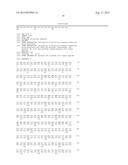 HIGH AFFINITY ANTI-PROSTATE STEM CELL ANTIGEN (PSCA) ANTIBODIES FOR CANCER     TARGETING AND DETECTION diagram and image