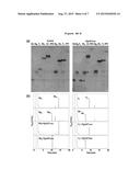 NOVEL UDP-GLYCOSYLTRANSFERASE DERIVED FROM GINSENG AND USE THEREOF diagram and image