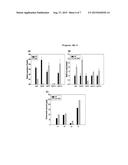 NOVEL UDP-GLYCOSYLTRANSFERASE DERIVED FROM GINSENG AND USE THEREOF diagram and image