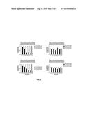 Compositions And Methods For Inhibiting Expression Of IKK-B Gene diagram and image