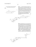 Compositions And Methods For Inhibiting Expression Of IKK-B Gene diagram and image