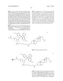 Compositions And Methods For Inhibiting Expression Of IKK-B Gene diagram and image