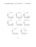 Human optimized Bacillus anthracis protective antigen diagram and image