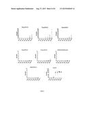 Human optimized Bacillus anthracis protective antigen diagram and image