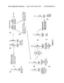 Genetic reduction of male fertility in plants diagram and image