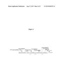 PRODUCTION OF ORGANIC ACIDS BY FERMENTATION AT LOW PH diagram and image