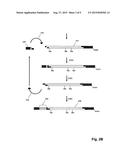 Methods and Compositions for Tagging and Identifying Polynucleotides diagram and image