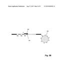 Methods and Compositions for Tagging and Identifying Polynucleotides diagram and image