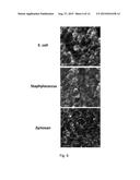 Fluorogenic pH-Sensitive Dyes and Their Methods of Use diagram and image