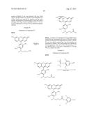 Fluorogenic pH-Sensitive Dyes and Their Methods of Use diagram and image