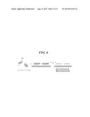 MOLECULARLY IMPRINTED POLYMER FOR DETECTION OF PENTRAXIN PROTEIN AND     METHOD FOR PREPARING THE SAME diagram and image