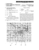 ESTIMATING DEMOGRAPHICS ASSOCIATED WITH A SELECTED GEOGRAPHIC AREA diagram and image