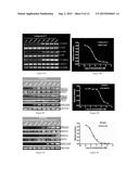 NOVEL EGFR MODULATORS AND USES THEREOF diagram and image