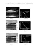 NOVEL EGFR MODULATORS AND USES THEREOF diagram and image