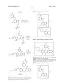 NOVEL EGFR MODULATORS AND USES THEREOF diagram and image