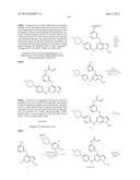 NOVEL EGFR MODULATORS AND USES THEREOF diagram and image