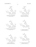 NOVEL EGFR MODULATORS AND USES THEREOF diagram and image