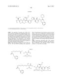 NOVEL BINDER-DRUG CONJUGATES (ADCs) AND USE OF SAME diagram and image