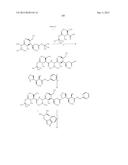 NOVEL BINDER-DRUG CONJUGATES (ADCs) AND USE OF SAME diagram and image