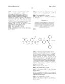 NOVEL BINDER-DRUG CONJUGATES (ADCs) AND USE OF SAME diagram and image