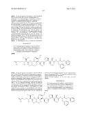 NOVEL BINDER-DRUG CONJUGATES (ADCs) AND USE OF SAME diagram and image