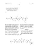 NOVEL BINDER-DRUG CONJUGATES (ADCs) AND USE OF SAME diagram and image