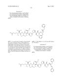 NOVEL BINDER-DRUG CONJUGATES (ADCs) AND USE OF SAME diagram and image