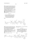 NOVEL BINDER-DRUG CONJUGATES (ADCs) AND USE OF SAME diagram and image