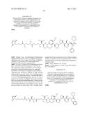 NOVEL BINDER-DRUG CONJUGATES (ADCs) AND USE OF SAME diagram and image