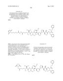 NOVEL BINDER-DRUG CONJUGATES (ADCs) AND USE OF SAME diagram and image