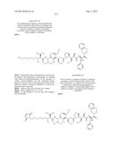 NOVEL BINDER-DRUG CONJUGATES (ADCs) AND USE OF SAME diagram and image