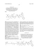 NOVEL BINDER-DRUG CONJUGATES (ADCs) AND USE OF SAME diagram and image