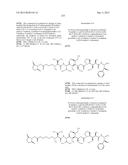 NOVEL BINDER-DRUG CONJUGATES (ADCs) AND USE OF SAME diagram and image