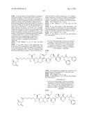 NOVEL BINDER-DRUG CONJUGATES (ADCs) AND USE OF SAME diagram and image