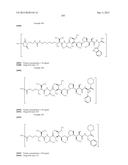 NOVEL BINDER-DRUG CONJUGATES (ADCs) AND USE OF SAME diagram and image