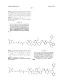 NOVEL BINDER-DRUG CONJUGATES (ADCs) AND USE OF SAME diagram and image