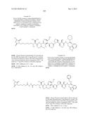 NOVEL BINDER-DRUG CONJUGATES (ADCs) AND USE OF SAME diagram and image