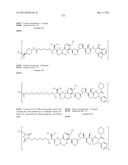 NOVEL BINDER-DRUG CONJUGATES (ADCs) AND USE OF SAME diagram and image