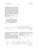 NOVEL BINDER-DRUG CONJUGATES (ADCs) AND USE OF SAME diagram and image