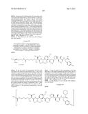 NOVEL BINDER-DRUG CONJUGATES (ADCs) AND USE OF SAME diagram and image