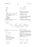 NOVEL BINDER-DRUG CONJUGATES (ADCs) AND USE OF SAME diagram and image