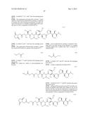 NOVEL BINDER-DRUG CONJUGATES (ADCs) AND USE OF SAME diagram and image