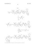 NOVEL BINDER-DRUG CONJUGATES (ADCs) AND USE OF SAME diagram and image