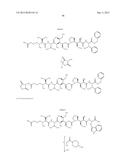 NOVEL BINDER-DRUG CONJUGATES (ADCs) AND USE OF SAME diagram and image