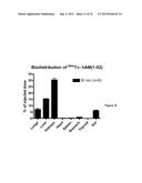 Labelled adrenomedullin derivatives and their use for imaging and therapy. diagram and image