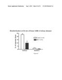 Labelled adrenomedullin derivatives and their use for imaging and therapy. diagram and image