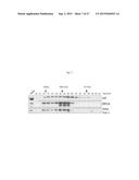 9H-PYRIMIDO[4,5-B]INDOLES AND RELATED ANALOGS AS BET BROMODOMAIN     INHIBITORS diagram and image