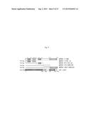 9H-PYRIMIDO[4,5-B]INDOLES AND RELATED ANALOGS AS BET BROMODOMAIN     INHIBITORS diagram and image