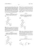 9H-PYRIMIDO[4,5-B]INDOLES AND RELATED ANALOGS AS BET BROMODOMAIN     INHIBITORS diagram and image